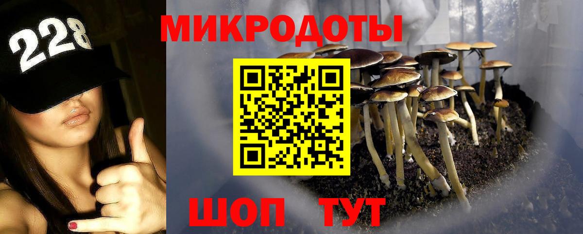 закладки  Вход с VPN  Конаково  Галлюциногенные грибы Psilocybine cubensis 