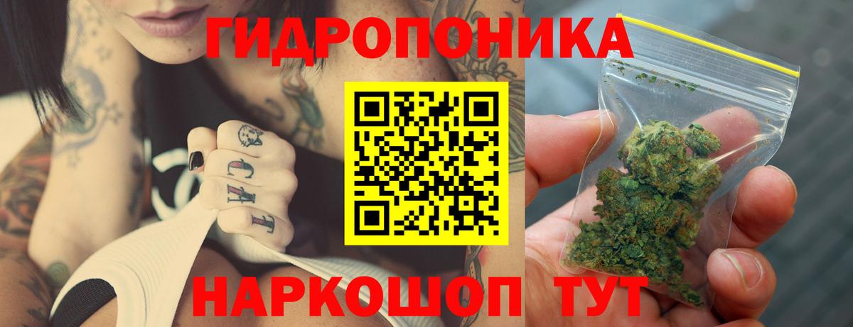 Канабис OG Kush  Вход с VPN  Конаково  Марихуана THC 21%  Бошки Шишки план 